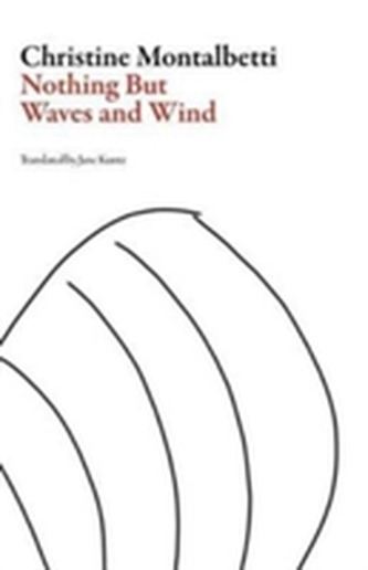 Nothing but Waves and Wind