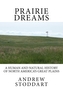 Prairie Dreams