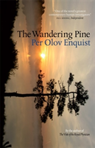 The Wandering Pine