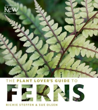 The Plant Lovers Guide to Ferns
