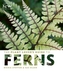 The Plant Lovers Guide to Ferns