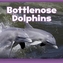 Bottlenose Dolphins