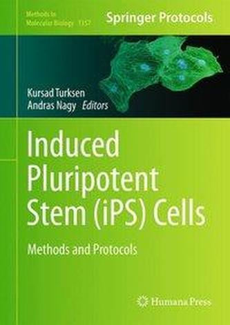 Induced Pluripotent Stem (iPS) Cells