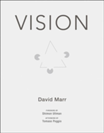 Vision