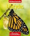 All About Australia: Lifecycles
