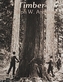 Timber