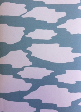 The Boy Who Always Looked Up