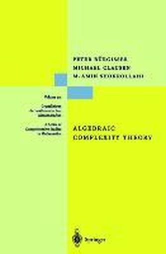 Algebraic Complexity Theory