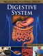 Digestive System