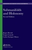 Submanifolds and Holonomy, Second Edition