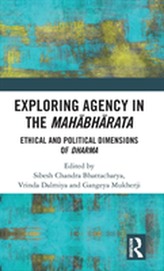 Exploring Agency in the Mahabharata