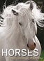 Horses Breeds, Cultures, Traditions