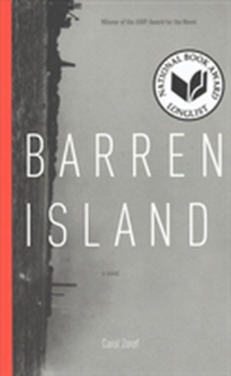 Barren Island