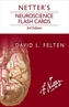 Netter's Neuroscience Flash Cards