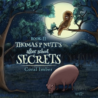 Thomas P Nutt's After School Secrets