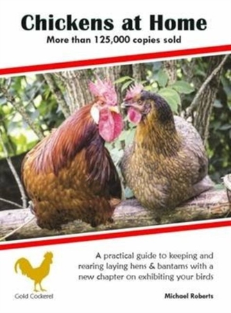 Chickens at Home