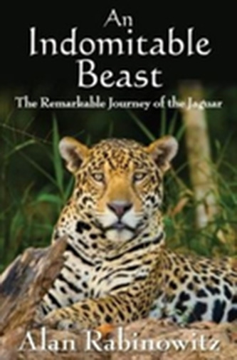 An Indomitable Beast