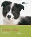Border Collie- Dog Expert