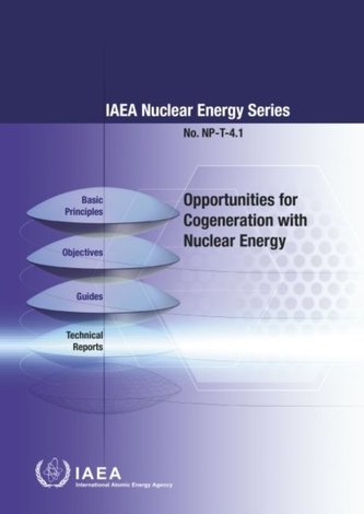 Opportunities for Cogeneration with Nuclear Energy