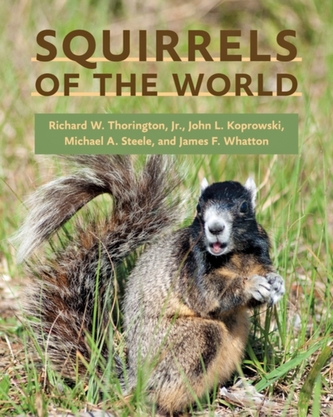 Squirrels of the World