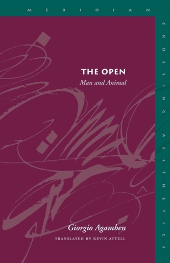 The Open