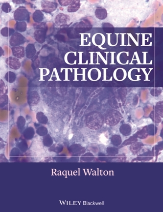 Equine Clinical Pathology