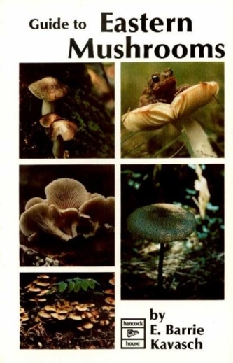 Guide to Eastern Mushrooms