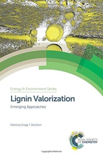 Lignin Valorization