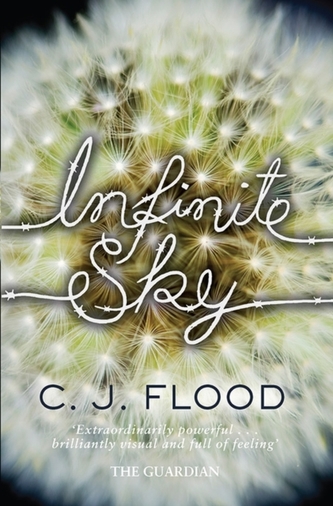 Infinite Sky