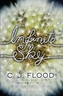 Infinite Sky
