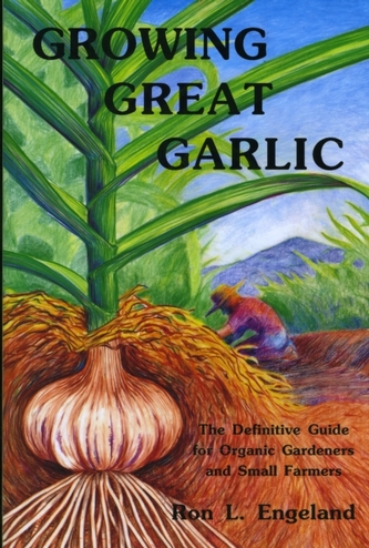 Growing Great Garlic