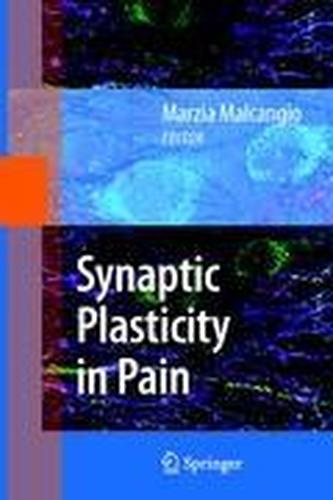 Synaptic Plasticity in Pain