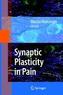Synaptic Plasticity in Pain