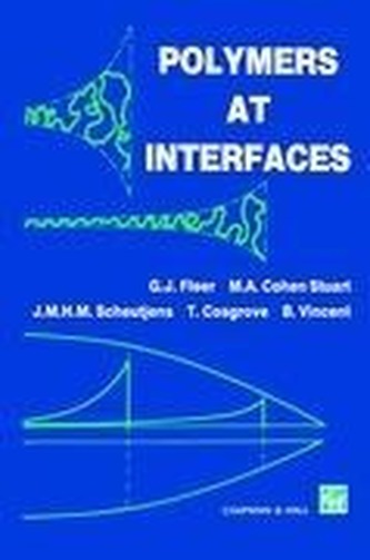Polymers at Interfaces
