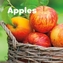 Celebrate Autumn Pack A of 4