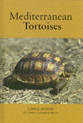Mediterranean Tortoises
