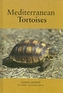 Mediterranean Tortoises