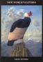The New World Vultures