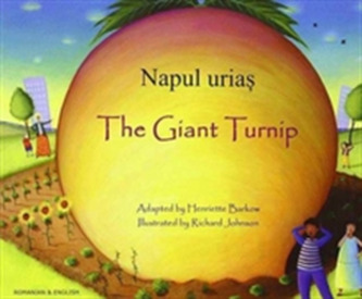 Giant Turnip