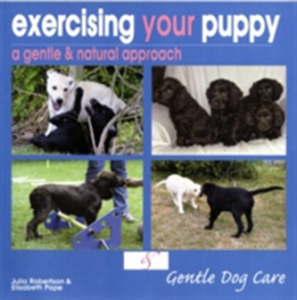 Exercising Your Puppy