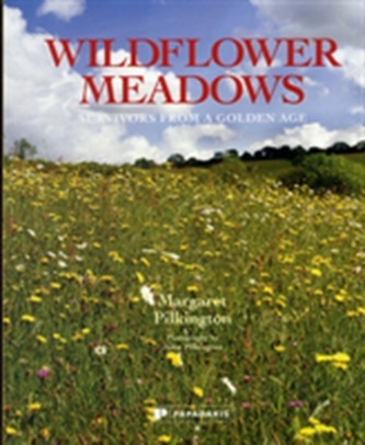 Wildflower Meadows