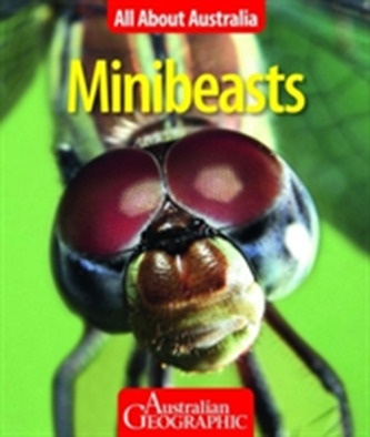 All About Australia: Minibeasts