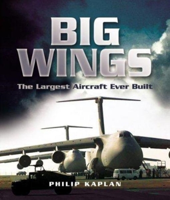 Big Wings