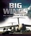 Big Wings