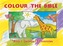 Colour the Bible Book 1