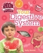 Human Body: Your Digestive System