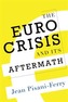 The Euro Crisis and Its Aftermath