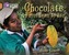 Chocolate: from Bean to Bar