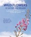 Wild Flowers of Britain and Ireland
