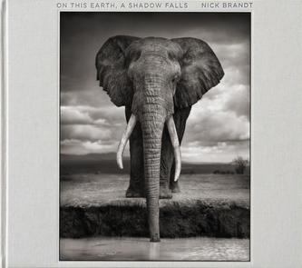 Nick Brandt